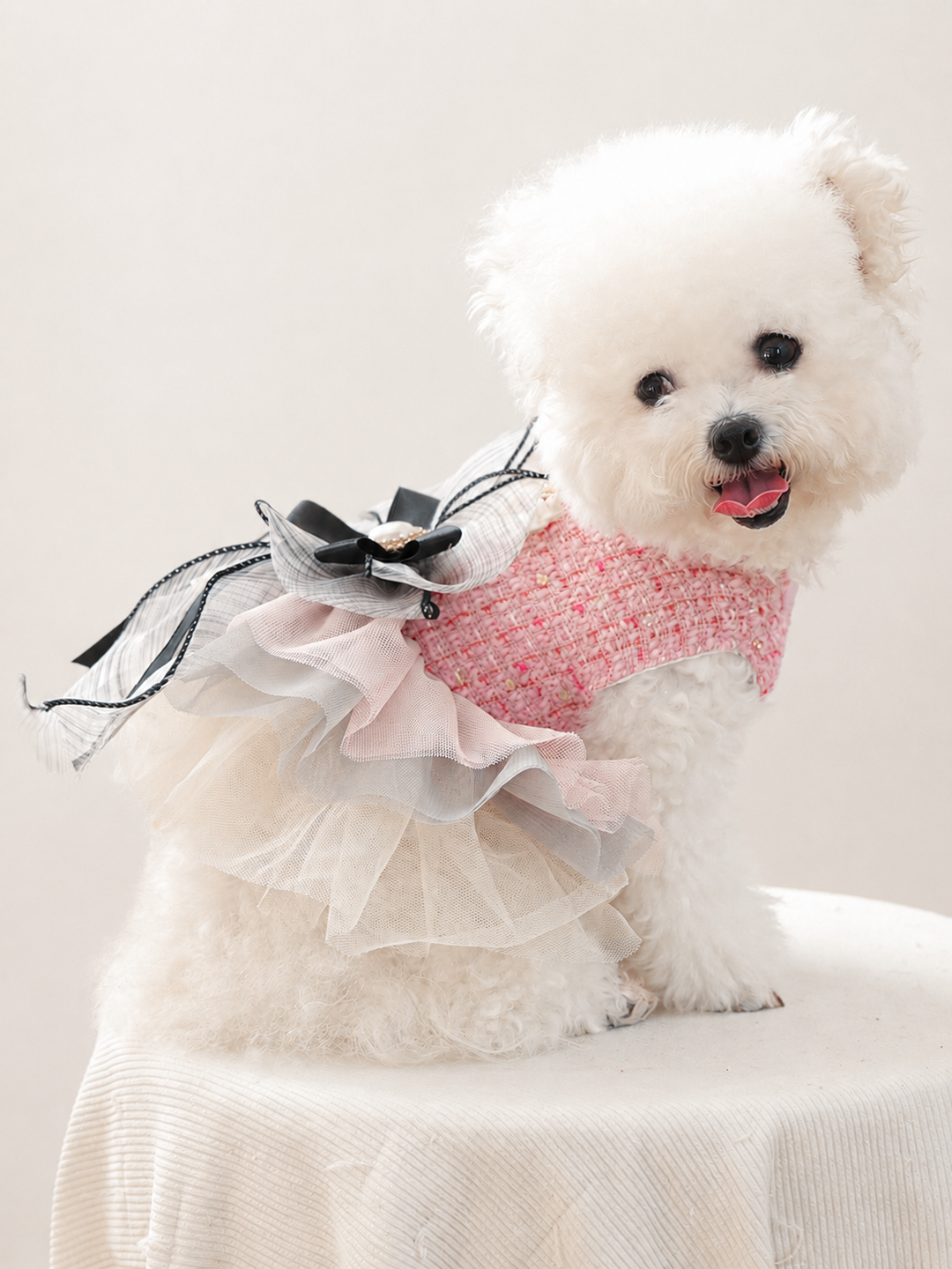 Elegant Tweed Dog Dress with Ruffle for Dogs & Puppies – Pawvane