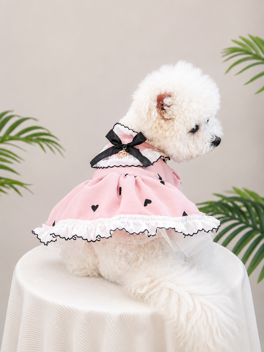 Heart Print Bow Dog Dress with Ruffles for Small Dogs & Puppies – Pawvane